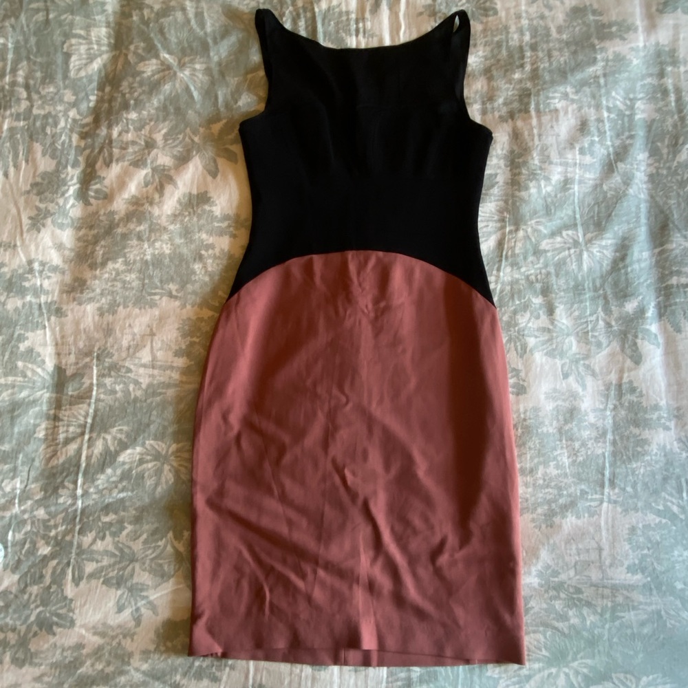 NWOT Reiss Dusty Rose and Black Dress